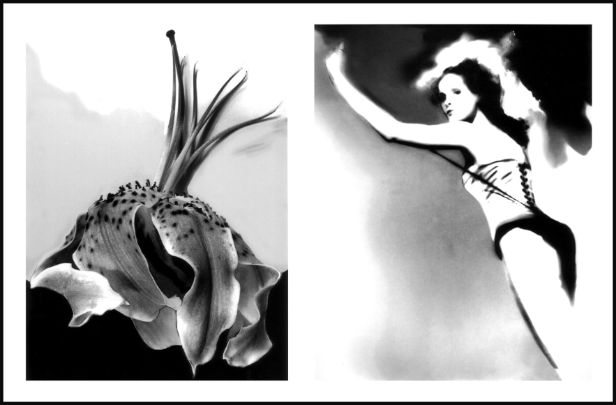 Lillian Bassman Reflections Exhibitions Staley Wise Gallery