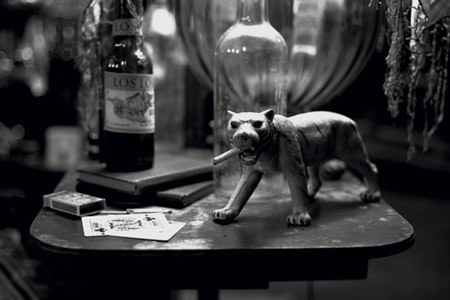 Mary McCartney, Smoking Tiger, 2003
