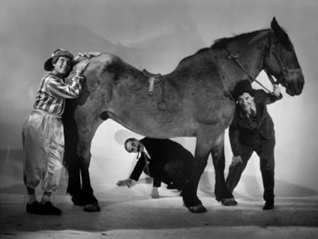 Ted Allan, The Marx Brothers (Harpo, Groucho, Chico) with a Horse for "A Day at the Races," 1936