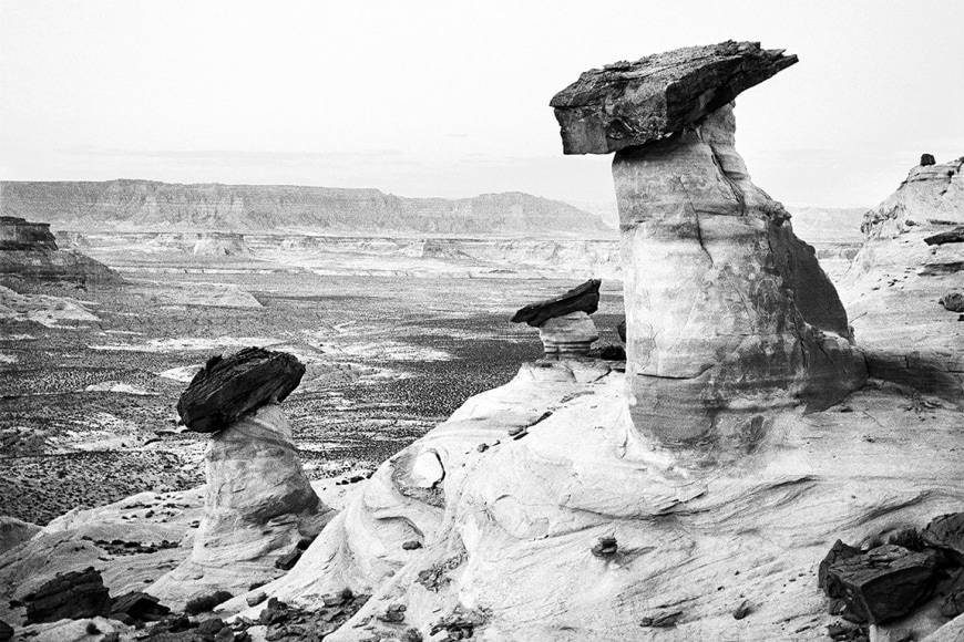 Priscilla Rattazzi, Stud Horse Point, Film Version, 2018