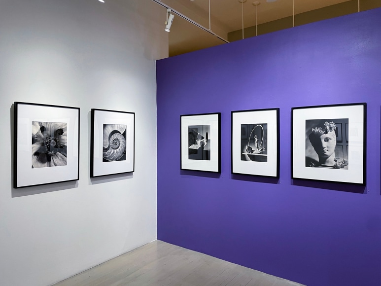 Horst P. Horst / George Hoyningen-Huene, Installation view