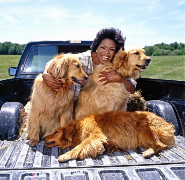 Harry Benson, Oprah Winfrey, 1994