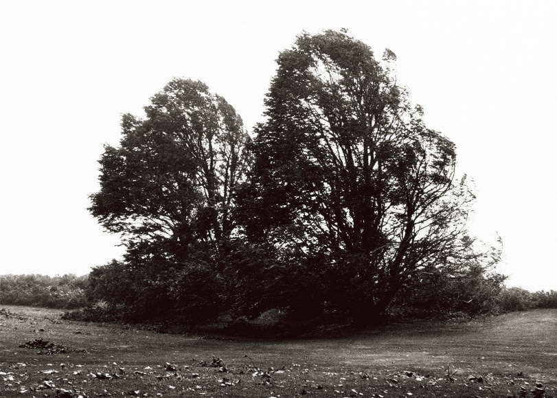 Priscilla Rattazzi, Hurricane Bob, the End, East Hampton, 1991
