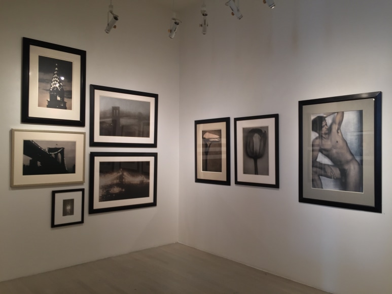 Sheila Metzner, Exhibition View