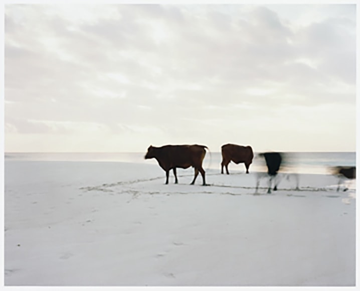 Anders Krisar, Chord N.9