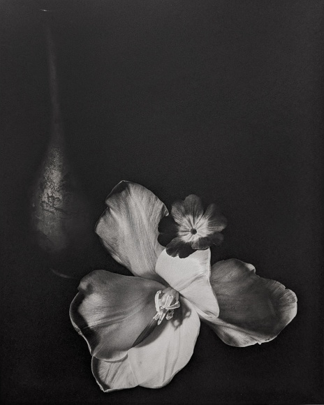 Horst, Gold Vase with Flowers, New York, 1987