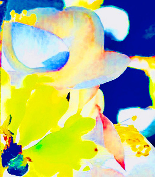 Joel Grey, Watercolor Dreams, circa 2018