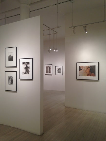 Real and Surreal, Exhibition View