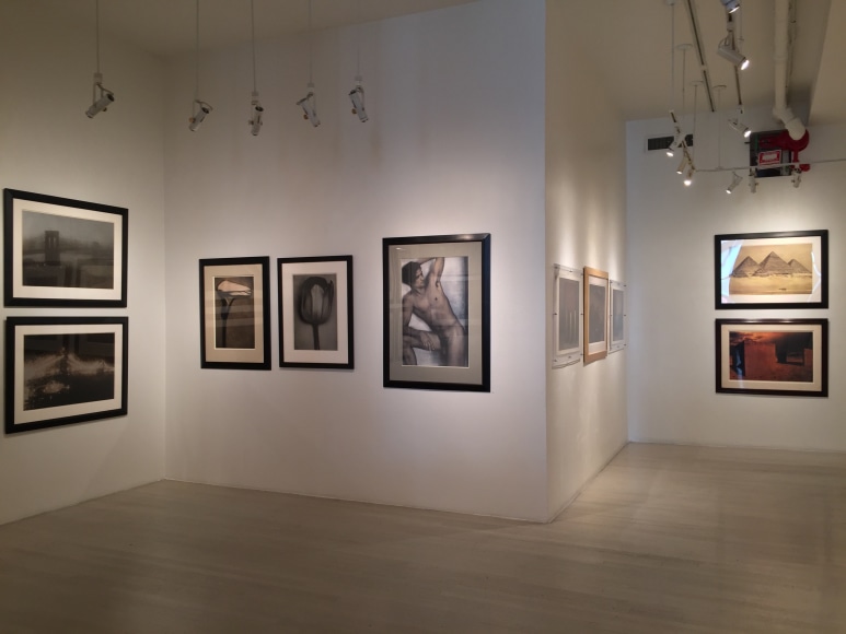 Sheila Metzner, Exhibition View