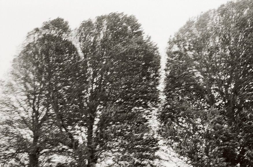 Priscilla Rattazzi, Hurricane Irene II, East Hampton, 2011