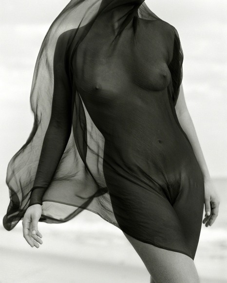 Herb Ritts, Female Torso with Veil, Paradise Cove, 1984