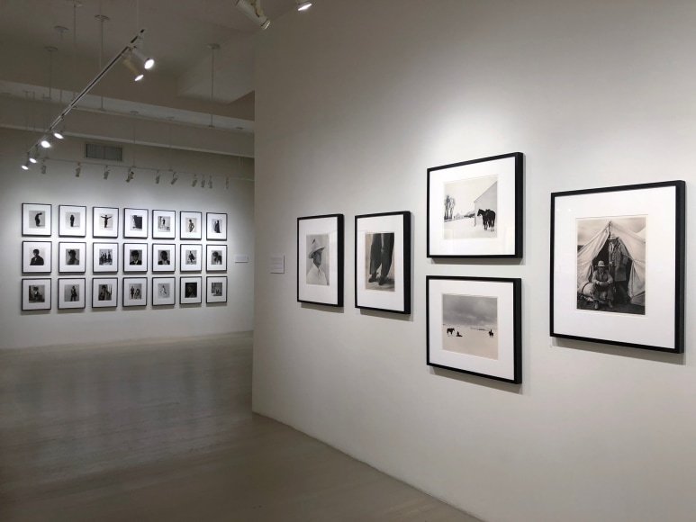 Kurt Markus: A Life in Photography Installation View