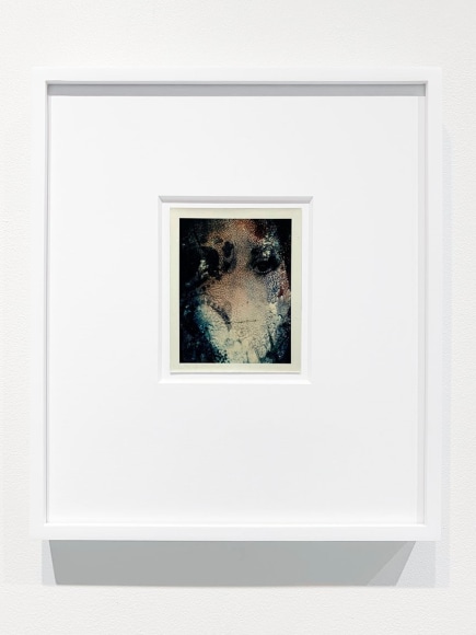 Kali, Textured Mary, Palm Springs, CA, 1969