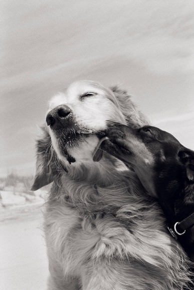 Priscilla Rattazzi, The Kiss, East Hampton, New York, 2009