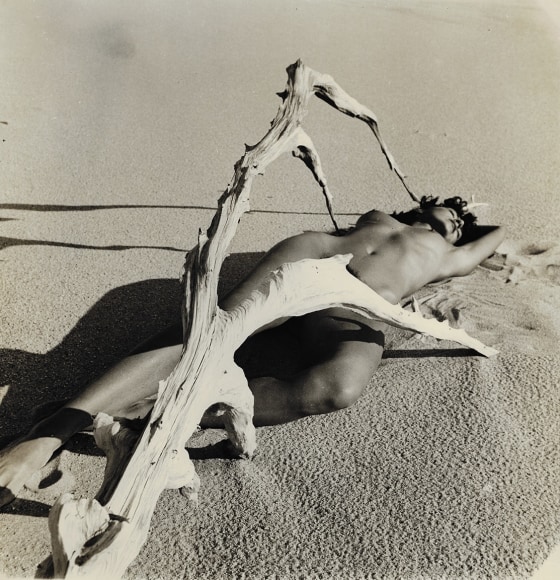 Herbert Matter, Nude with Driftwood