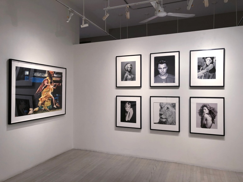 Patrick Demarchelier, Exhibition View