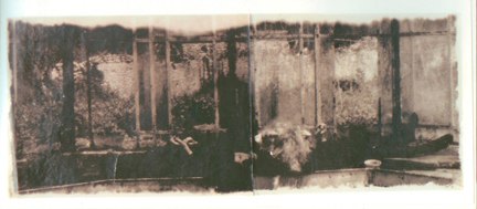 Deborah Turbeville, Glass House: Sonia Rykiel, Facade Magazine, Normandy, France, 1978