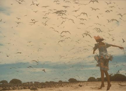Norman Parkinson, Bird Island, 1973