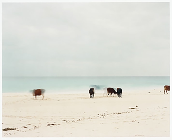 Anders Krisar, Chord N.7