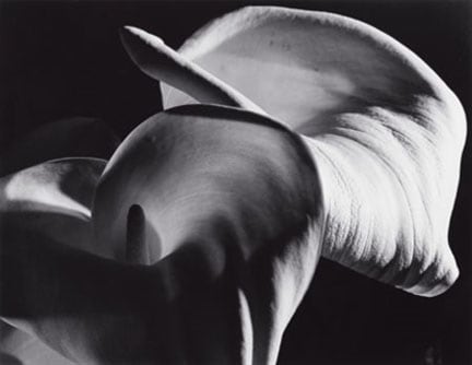 Horst P. Horst, Calle Aethiopica, 1945