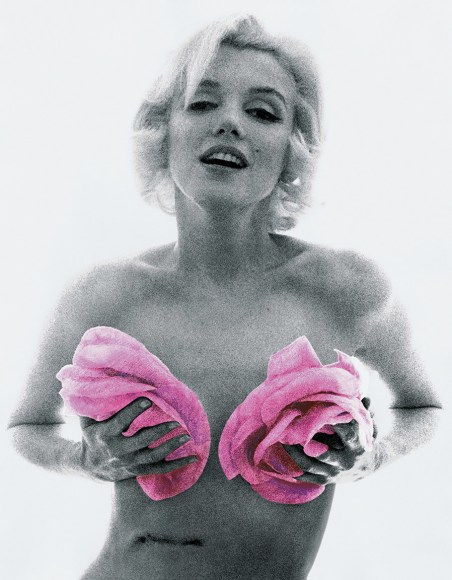 Bert stern Marilyn Monroe, “The Last Sitting”, With Roses, Pink tint