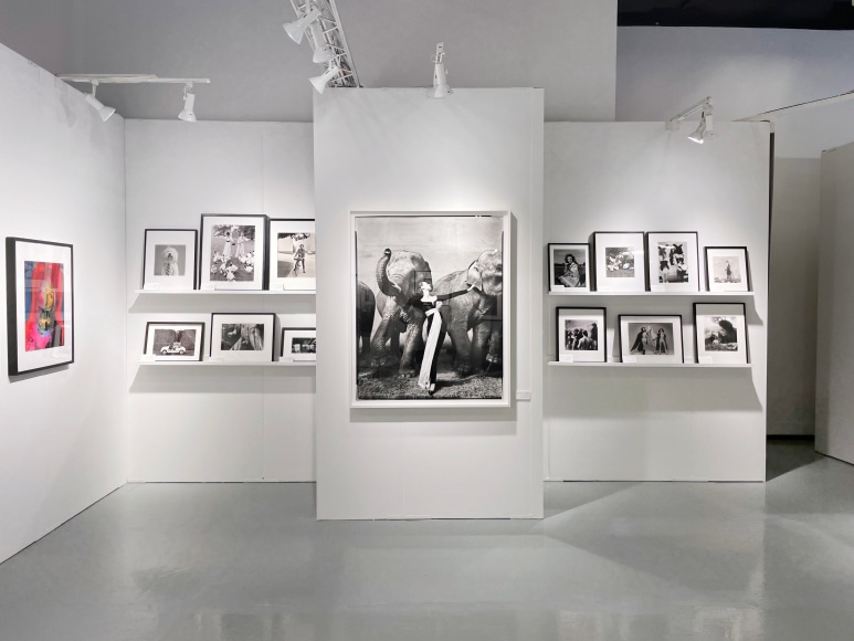 AIPAD 2022, Installation View