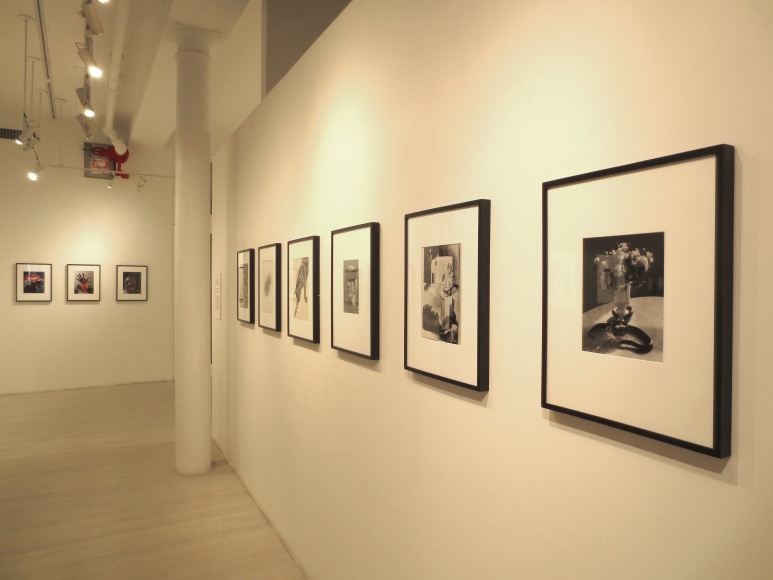 From The Archive Part II, Exhibition View