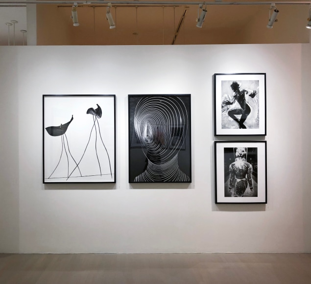 Txema Yeste, Exhibition View