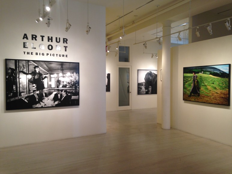 Arthur Elgort, Exhibition View