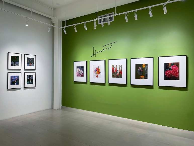 Horst P. Horst / George Hoyningen-Huene, Installation view