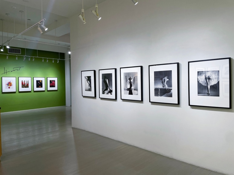 Horst P. Horst / George Hoyningen-Huene, Installation view