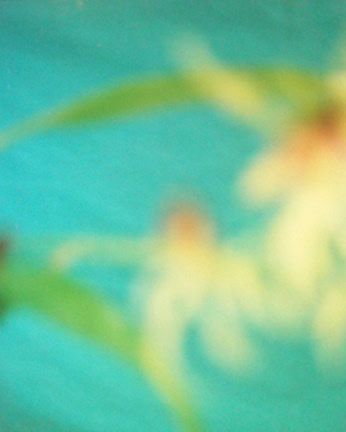 David Seidner, Aqua, 1999