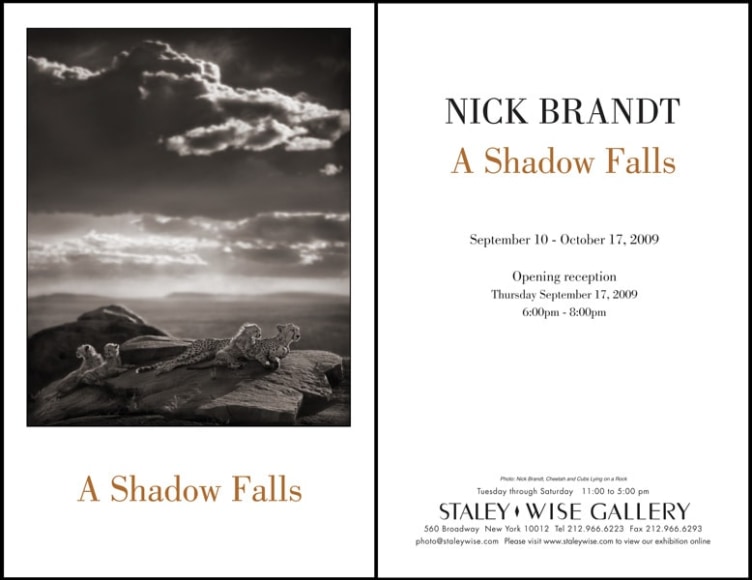 Nick Brandt, Exhibition Invitation