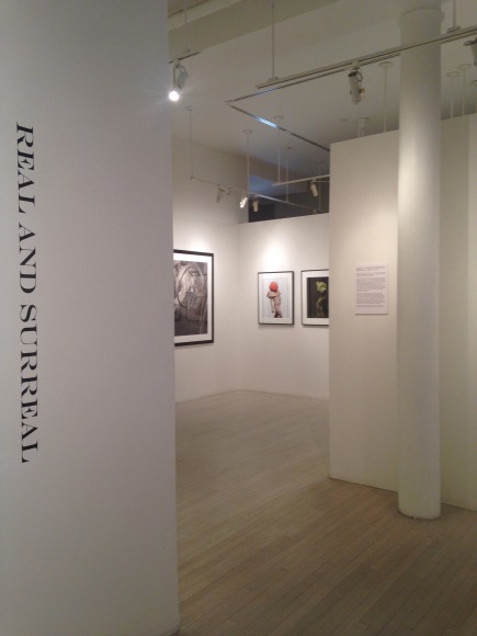 Real and Surreal, Exhibition View