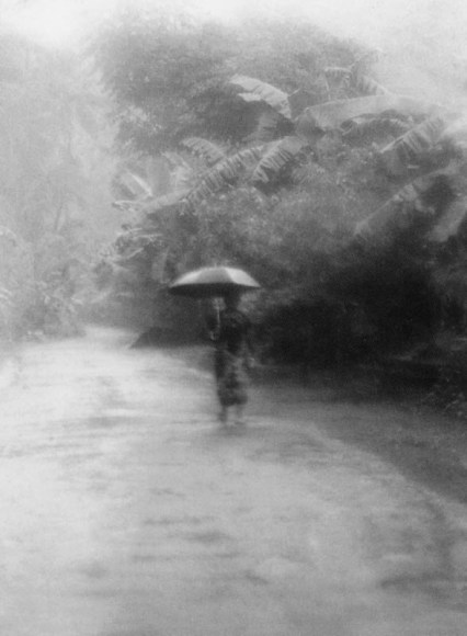 Isabella Ginanneschi, Stormy Weather, 1994