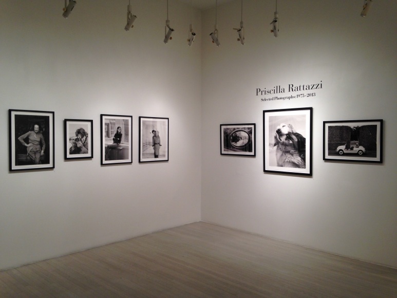 Priscilla Rattazzi, Exhibition View