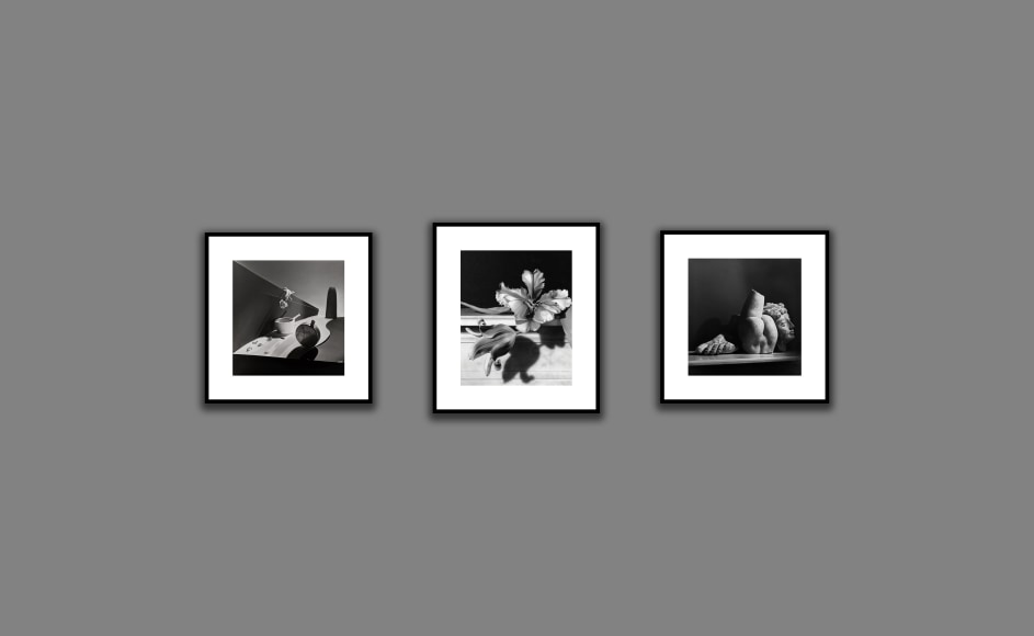 Photo London, Virtual Installation View