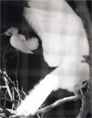 Amanda De Cadenet, Doves, Los Angeles, 2000