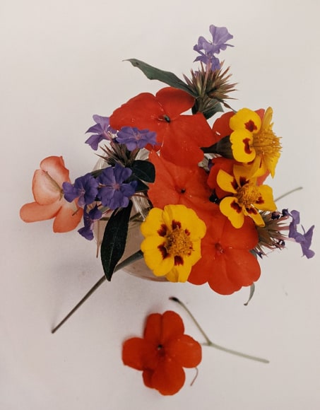 Horst, Marigolds, Impatiens, & Violets