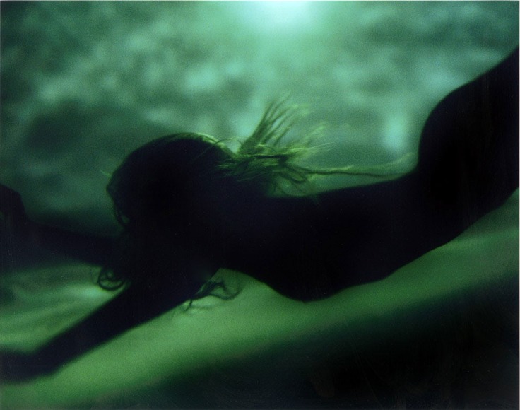 Michael Dweck Mermaid 41