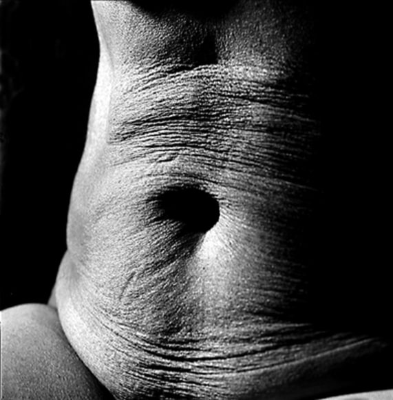 Jerry Schatzberg, A Deceptive Rose