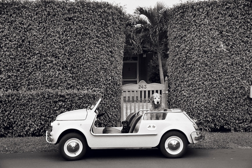Priscilla Rattazzi, In the Jolly, Palm Beach, Florida, 2008