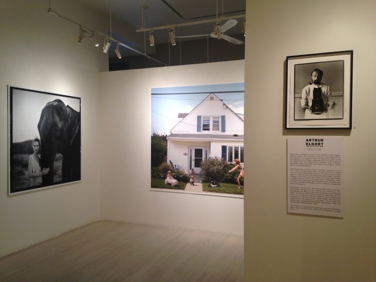 Arthur Elgort, Exhibition View