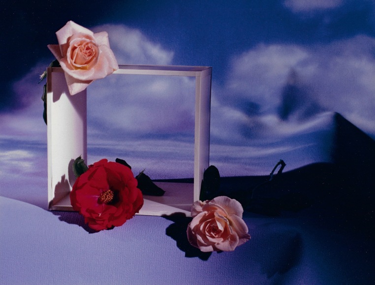 Horst, Roses with Square and Clouds