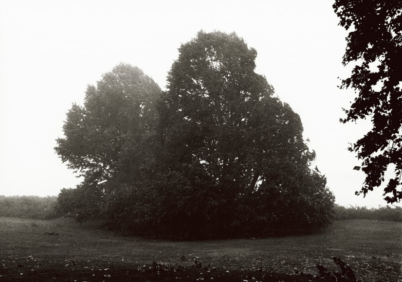 Priscilla Rattazzi, Hurricane Bob, the Beginning, East Hampton, 1991