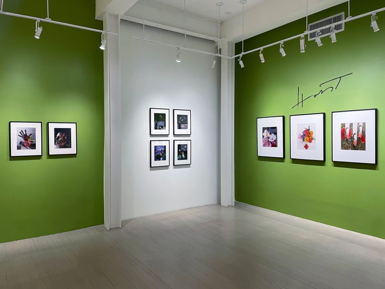 Horst P. Horst / George Hoyningen-Huene, Installation view