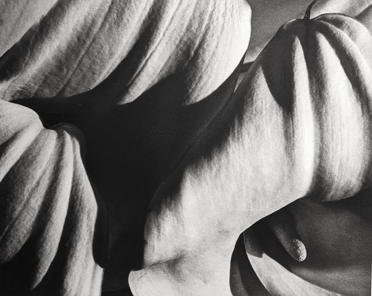 Horst, Richardia Africana, New York, 1945