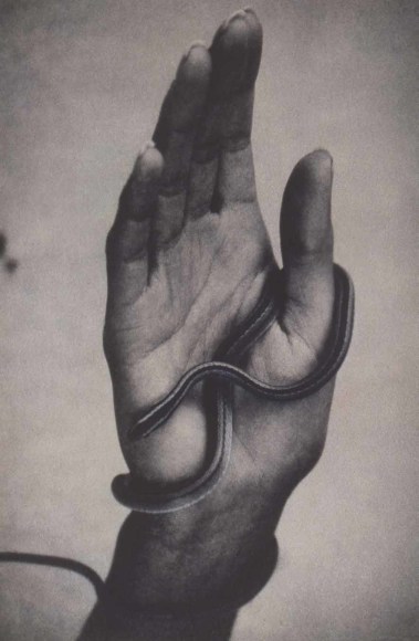 Sheila Metzner, Hand with Snake. 1994