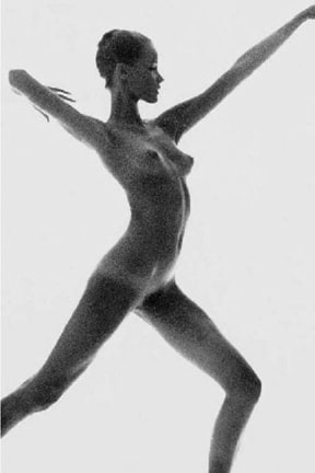 Bert Stern, Veruschka, circa 1965