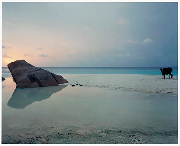 Anders Krisar, Chord N.16